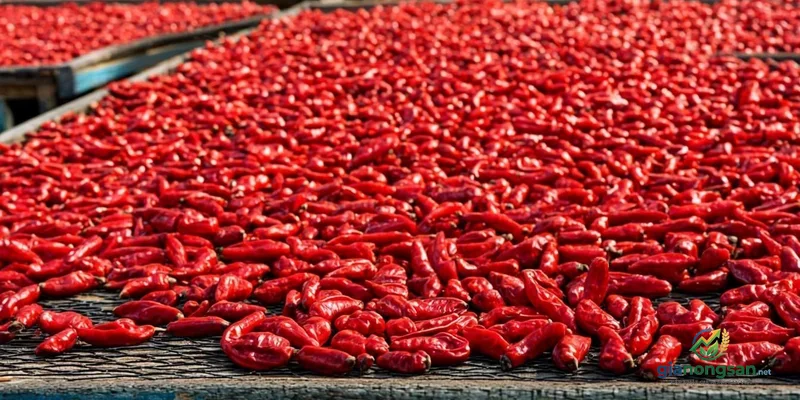 Cách phơi ớt khô giòn đúng chuẩn: Bảo quản được lâu, giữ nguyên màu sắc