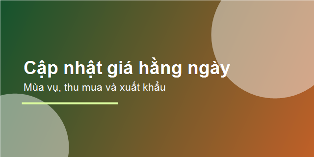 Cập nhật giá nông sản hằng ngày theo mùa vụ và thu mua
