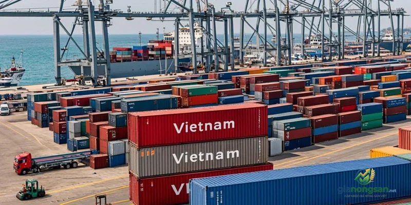 Thị trường cà phê Việt Nam xuất khẩu 2024: Số liệu & Phân tích